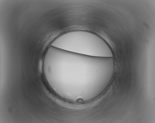 X0000114410014200910161041