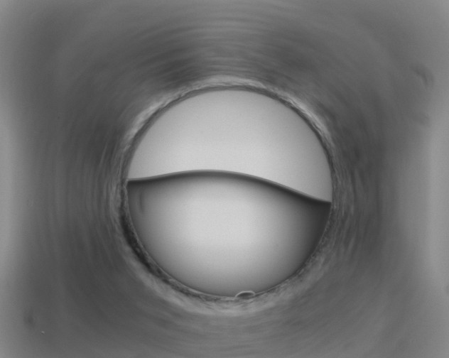 X0000114410015200910161041