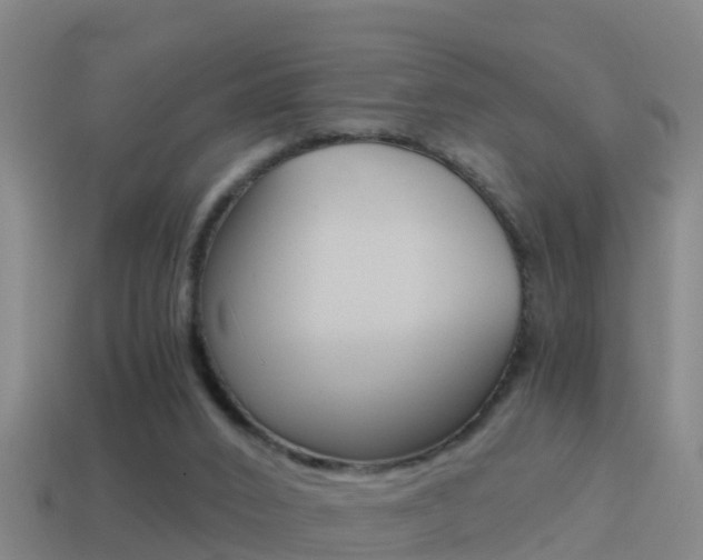 X0000114410016200910161041