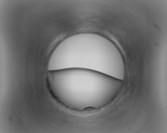 X0000114410019200910161041