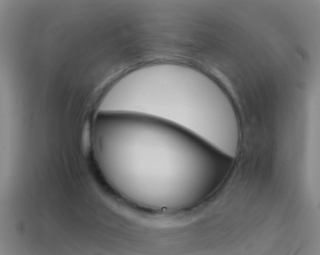 X0000114410020200910161041