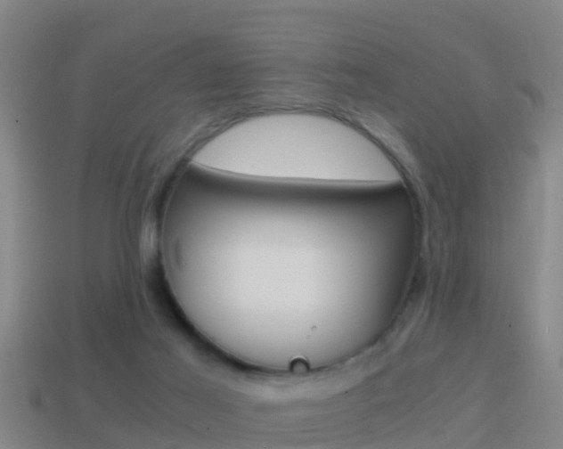 X0000114410021200910161041
