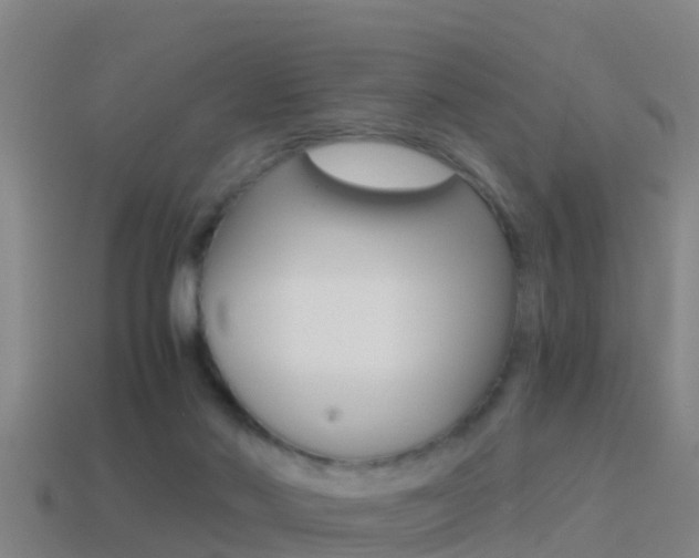 X0000114410022200910161041
