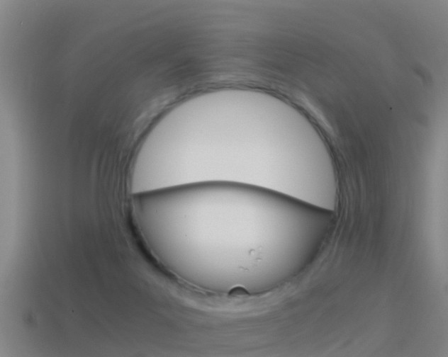 X0000114410023200910161041