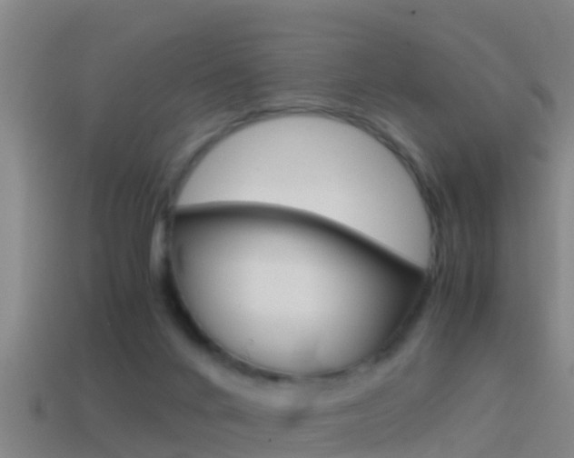 X0000114410024200910161041