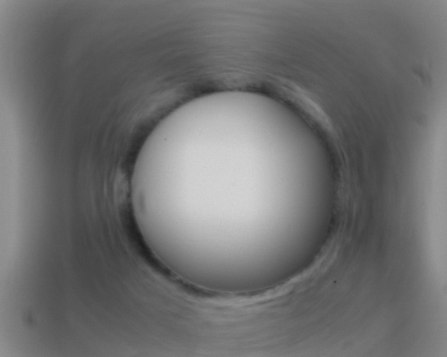X0000114410025200910161041