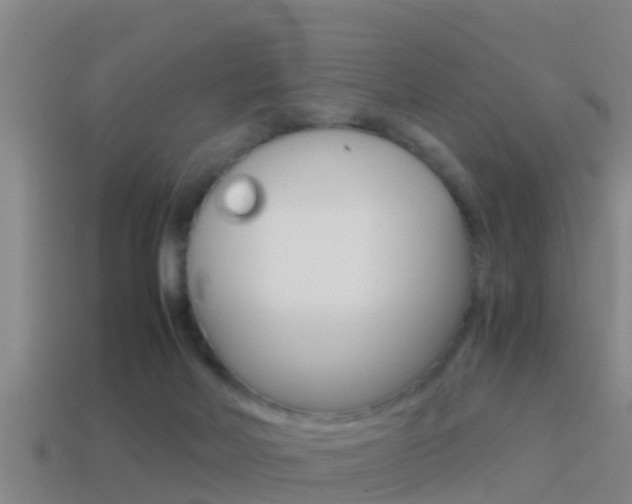 X0000114410026200910161041