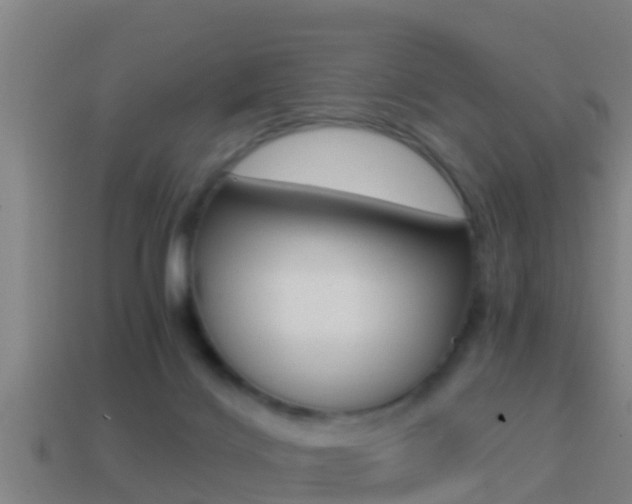 X0000114410028200910161041
