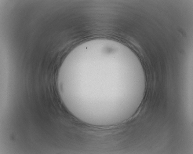 X0000114410029200910161041