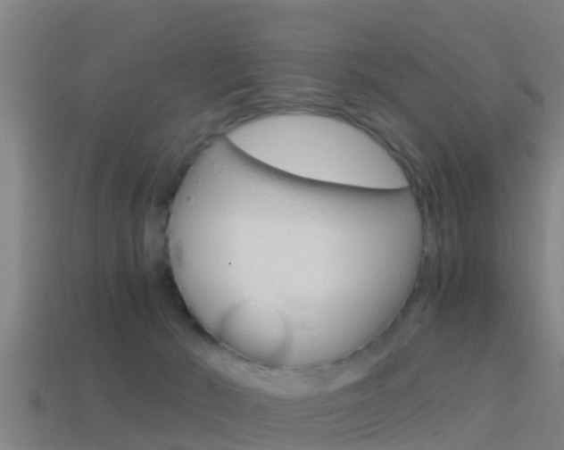 X0000114410030200910161041