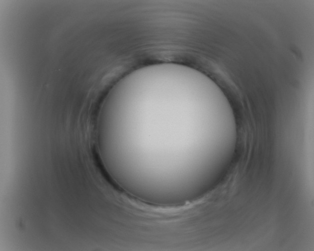 X0000114410031200910161041