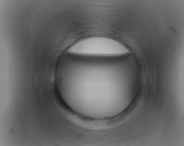 X0000114410032200910161041