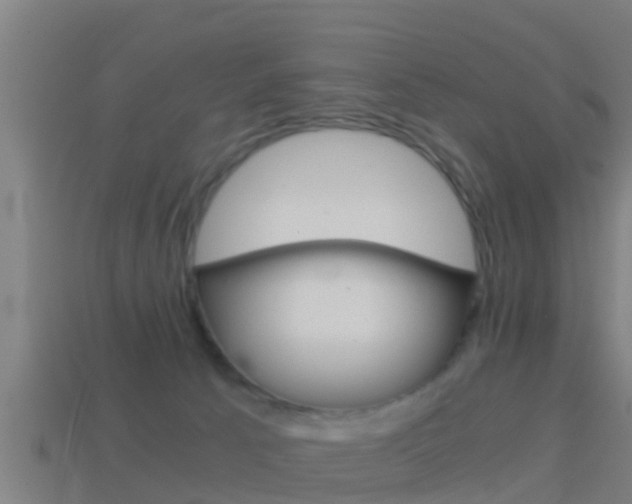 X0000114410033200910161041