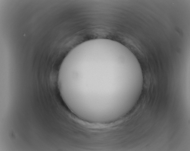 X0000114410034200910161041
