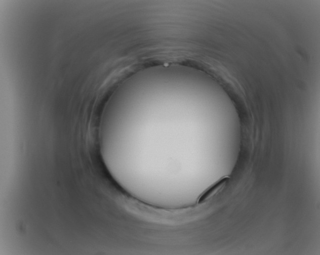 X0000114410035200910161041