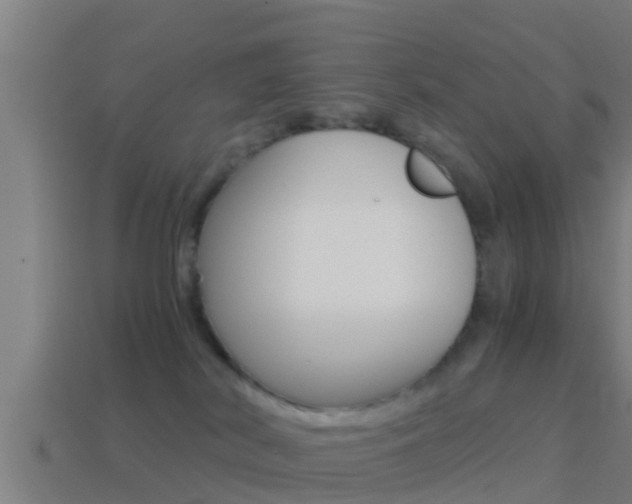 X0000114410038200910161041