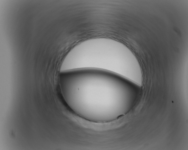 X0000114410039200910161041
