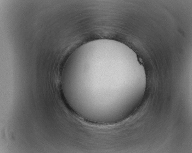 X0000114410040200910161041