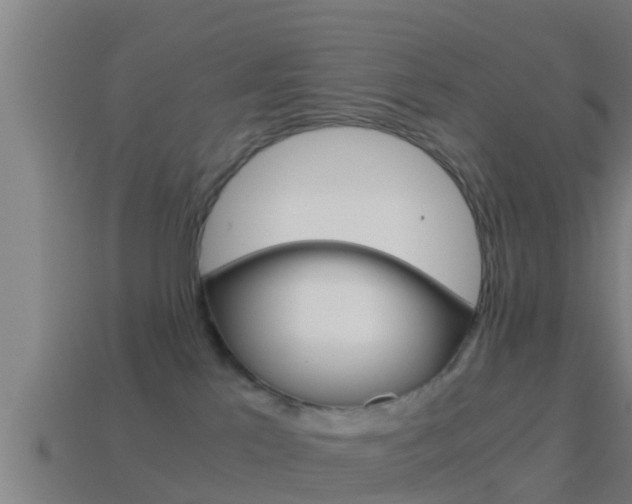 X0000114410041200910161041