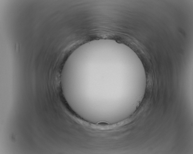 X0000114410043200910161041