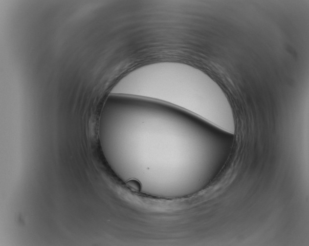 X0000114410044200910161041