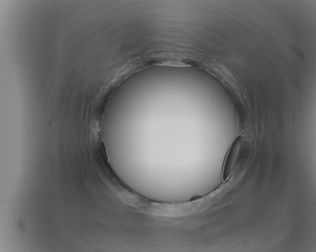 X0000114410045200910161041