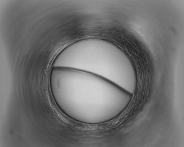 X0000114410049200910161040