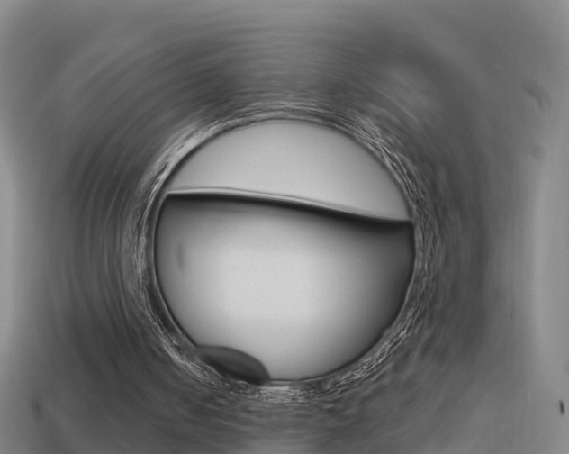 X0000114410050200910161040
