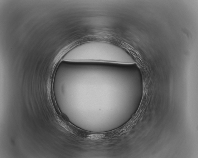 X0000114410051200910161040