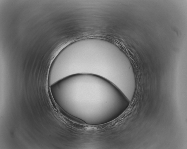 X0000114410052200910161040