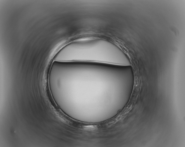 X0000114410053200910161040
