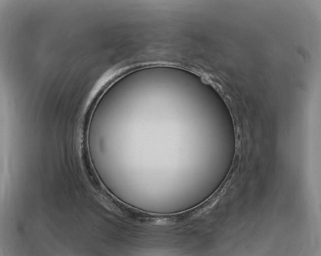 X0000114410056200910161040