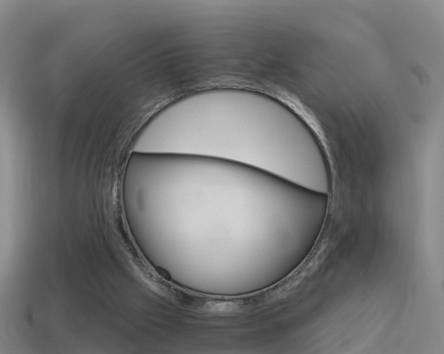 X0000114410057200910161040