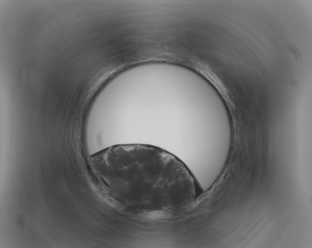 X0000114410058200910161040