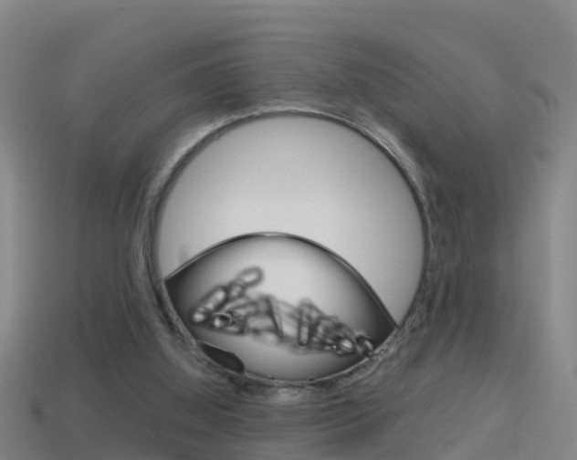 X0000114410060200910161040