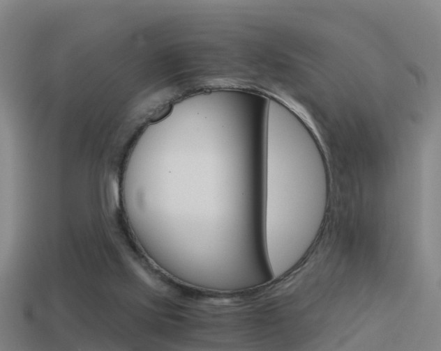 X0000114410061200910161040
