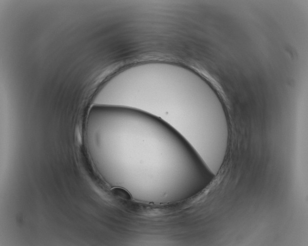 X0000114410062200910161040