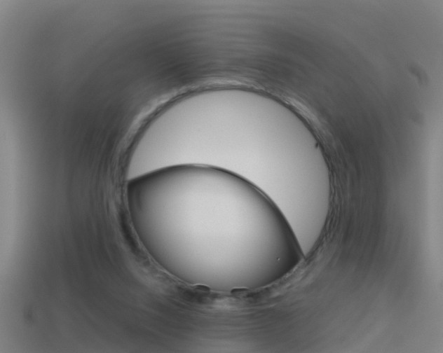 X0000114410064200910161040