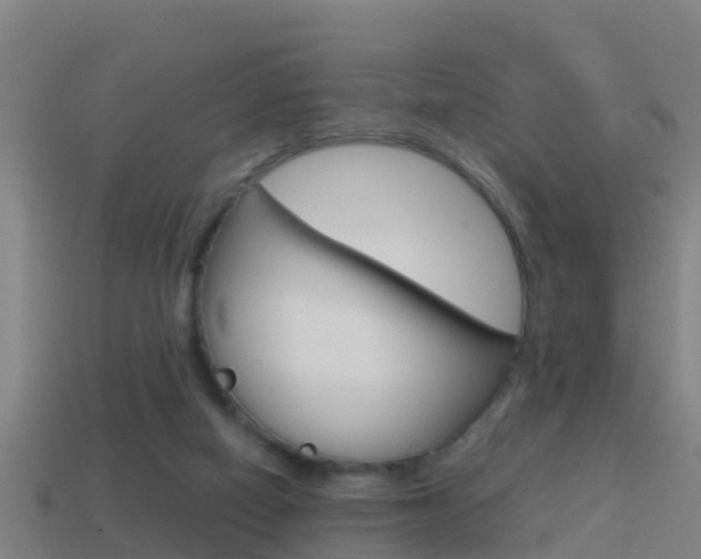 X0000114410066200910161040
