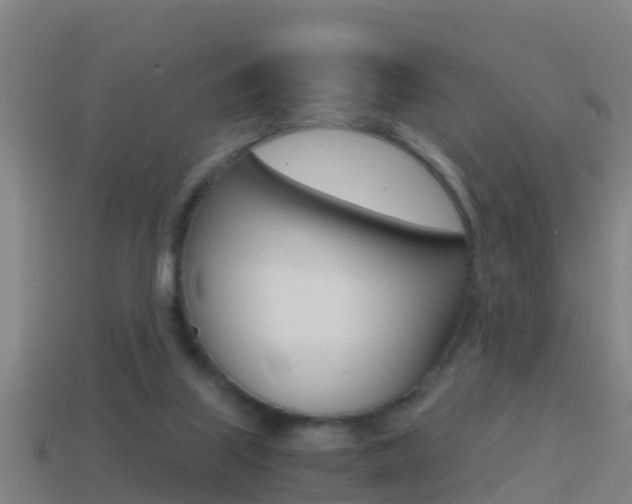 X0000114410067200910161040