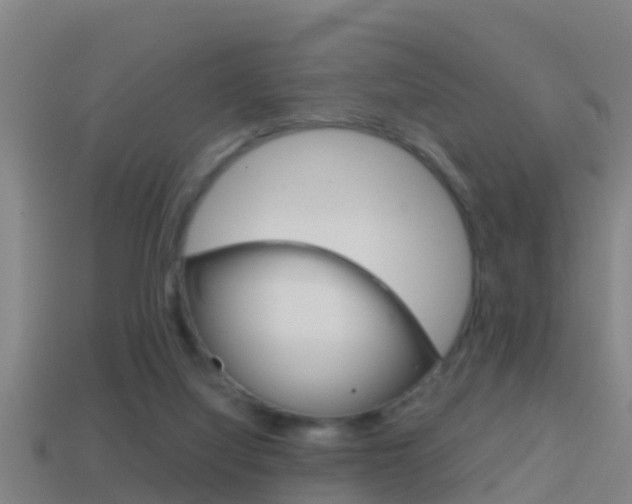 X0000114410068200910161041