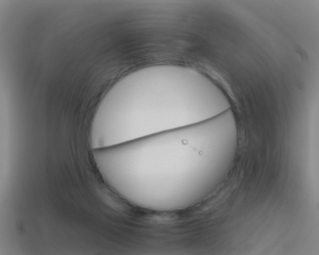 X0000114410069200910161041