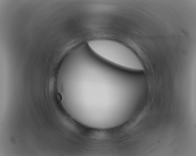 X0000114410071200910161041
