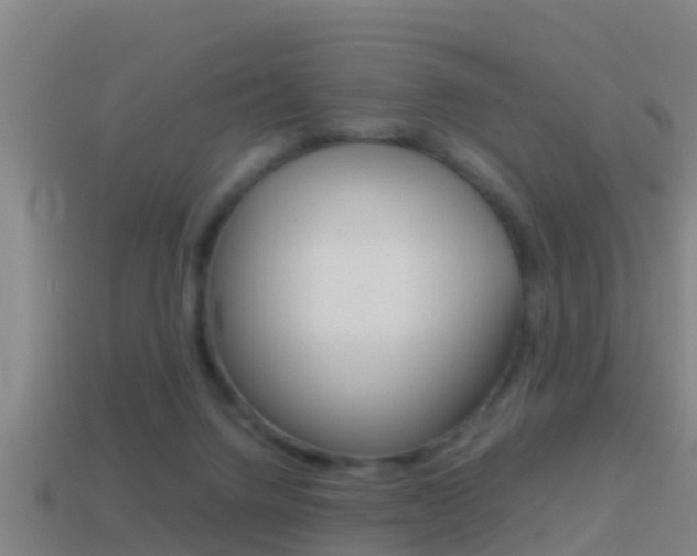 X0000114410072200910161041