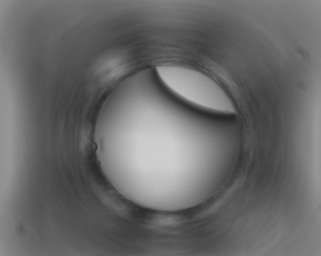 X0000114410073200910161041