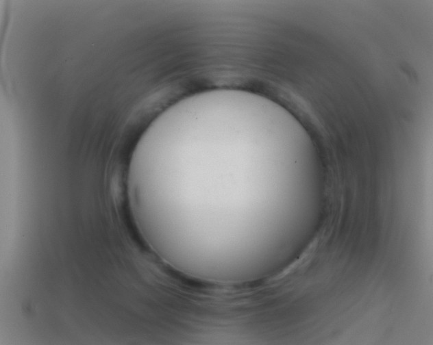 X0000114410074200910161041