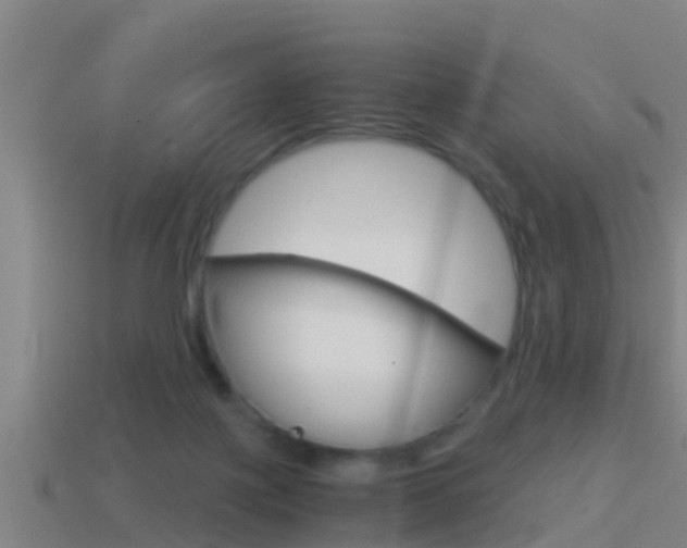 X0000114410075200910161041