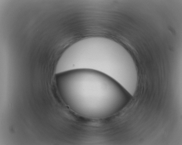 X0000114410076200910161041