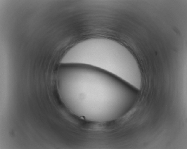 X0000114410078200910161041