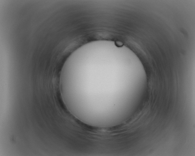X0000114410079200910161041